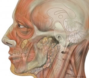 Cleveland Surgeons Perform 22-hour Face Transplant Operation on Trauma Patient